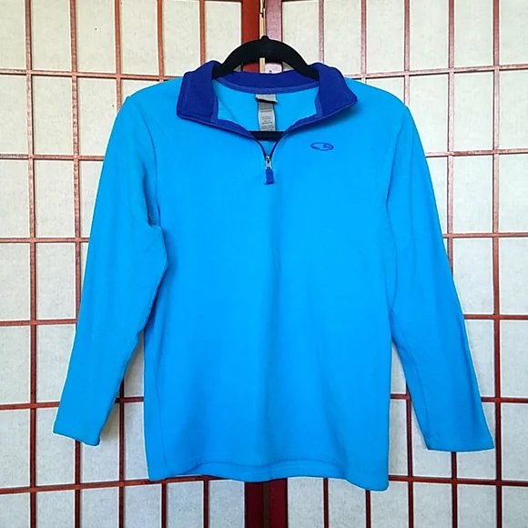 Champion Light blue quarter-zip fleece pullover sweatshirt. Kid's size L. - Picture 2 of 4